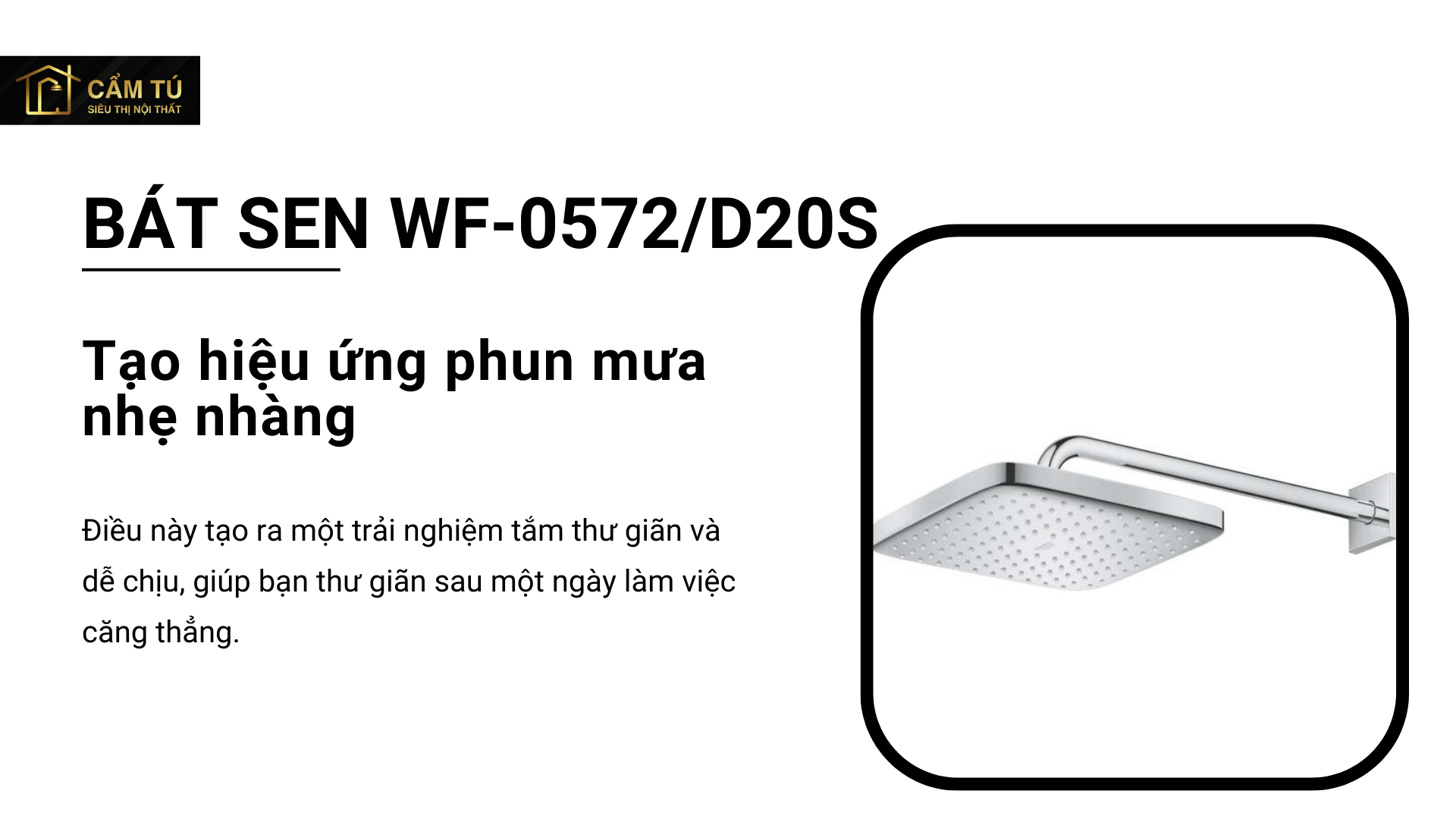 Bộ Cây Sen Phun Mưa American Standard WF-0572/D20S