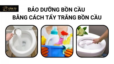Bảo dưỡng bồn cầu bằng cách tẩy trắng bồn cầu