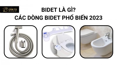 Bidet Là Gì, các dòng bidet phổ biến 2023