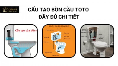 Cấu tạo bồn cầu TOTO đầy đủ, chi tiết
