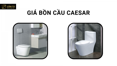 Giá bồn cầu Caesar chi tiết 2023