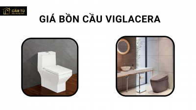 Giá bồn cầu viglacera chi tiết