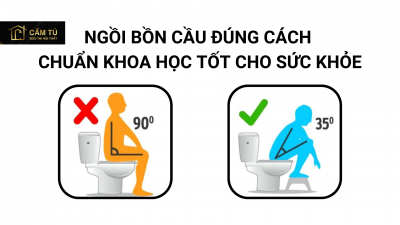 Ngồi bồn cầu đúng cách chuẩn khoa học, tốt cho sức khỏe
