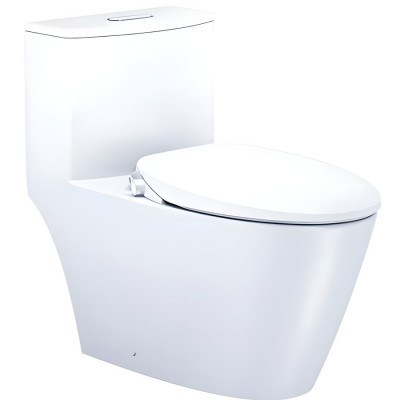 Bồn Cầu Nắp Rửa Cơ CAESAR C1363F/TAF060 (CD1363/TAF060) 1 Khối