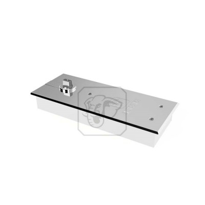 Bản lề sàn HeleH SS 05 - 300kg