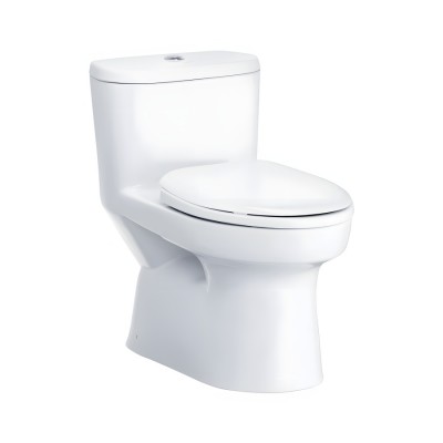 Bồn cầu 1 khối COTTO C1015 nắp êm dòng Macc