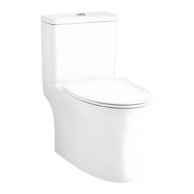 Bồn cầu 1 khối COTTO C105607 nắp êm dòng Vista