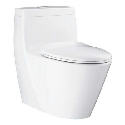 Bồn cầu 1 khối dòng Projectline GROHE 39316000