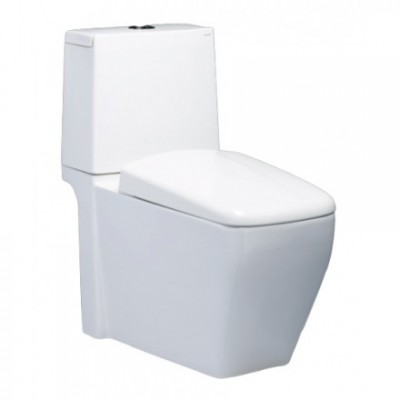 Bồn Cầu CAESAR CD1346 Thùng T1146 Nắp Êm