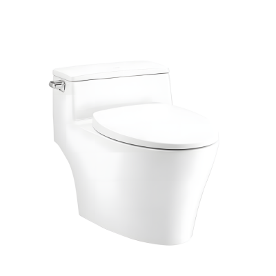 Bồn Cầu COTTO C10357 1 Khối Xả Gạt