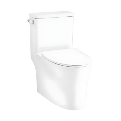 Bồn Cầu COTTO C105617 Một Khối Xả Gạt