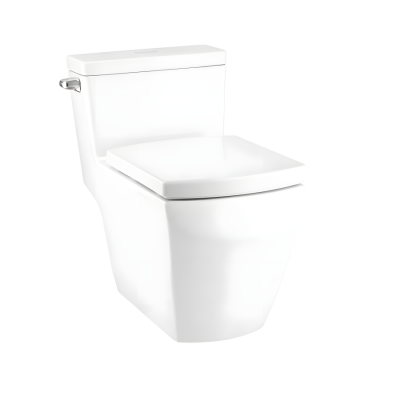 Bồn Cầu COTTO C107147 1 Khối Xả Gạt