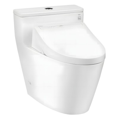 Bồn Cầu Điện Tử TOTO MS625CDW15 Washlet TCF24460AAA C5 Giấu Dây