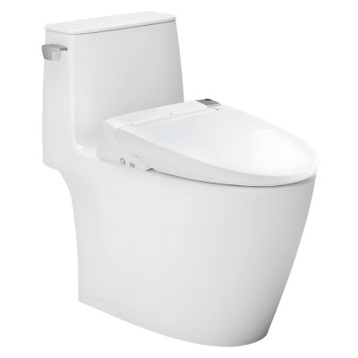 Bồn Cầu INAX AC-912/CW-S32VN Nắp Rửa Cơ Xả Gạt