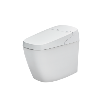 Bồn Cầu Thông Minh INAX AC-G216VN/BW1 (ACG216VN) Satis Trắng