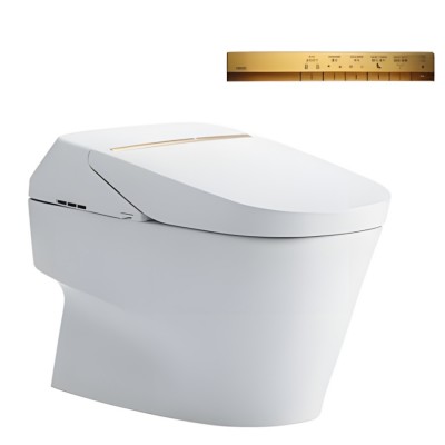 Bồn Cầu Thông Minh TOTO CW993VA/TCF993WA Neorest XH II