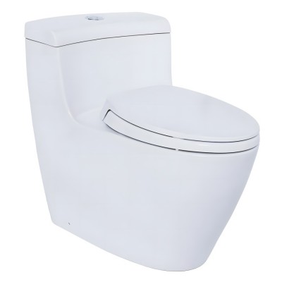 Bồn Cầu TOTO MS636DT2 1 Khối Nắp TC393VS