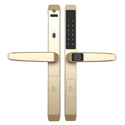 Khóa cửa nhôm Kassler KL-599TD Champagne Gold App TTlock, Remote