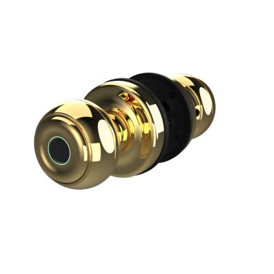 Khóa cửa vân tay thông phòng Demax SL106 YL app bluetooth - Của Đức