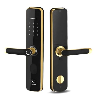 Khóa vân tay Kassler KL-696 Gold App Remote