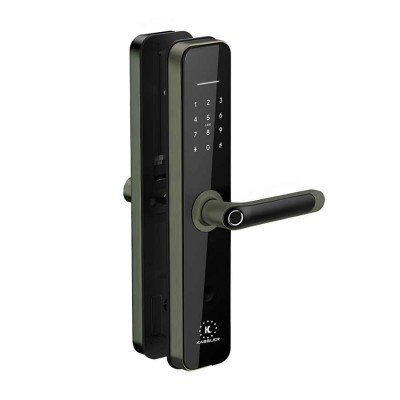 Khóa vân tay Kassler KL-696 Green Bronze APP Remote