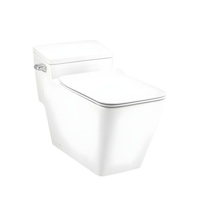 Bàn Cầu COTTO C103247 Simply Modish Xả Gạt