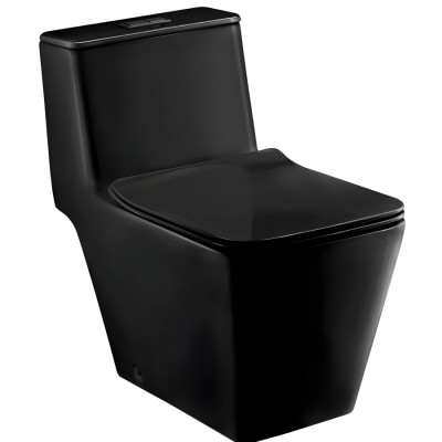 Bồn Cầu COTTO C1032(MBK) 1 Khối Xả Nhấn Màu Đen