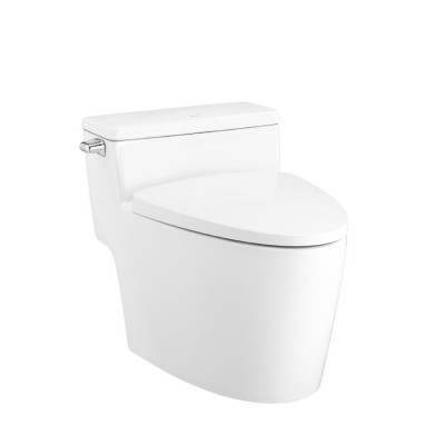 Bồn Cầu COTTO C105257 1 Khối Xả Gạt