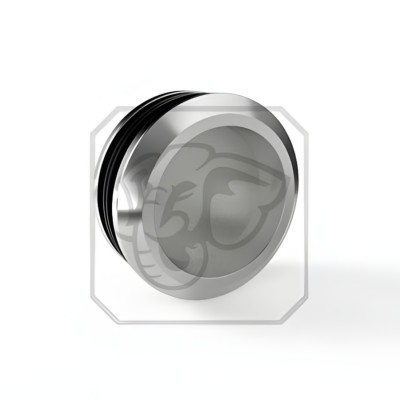 Tay nắm âm cửa kính Huy Hoàng 01